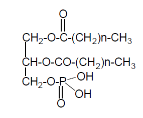 Química Orgánica INdustrial